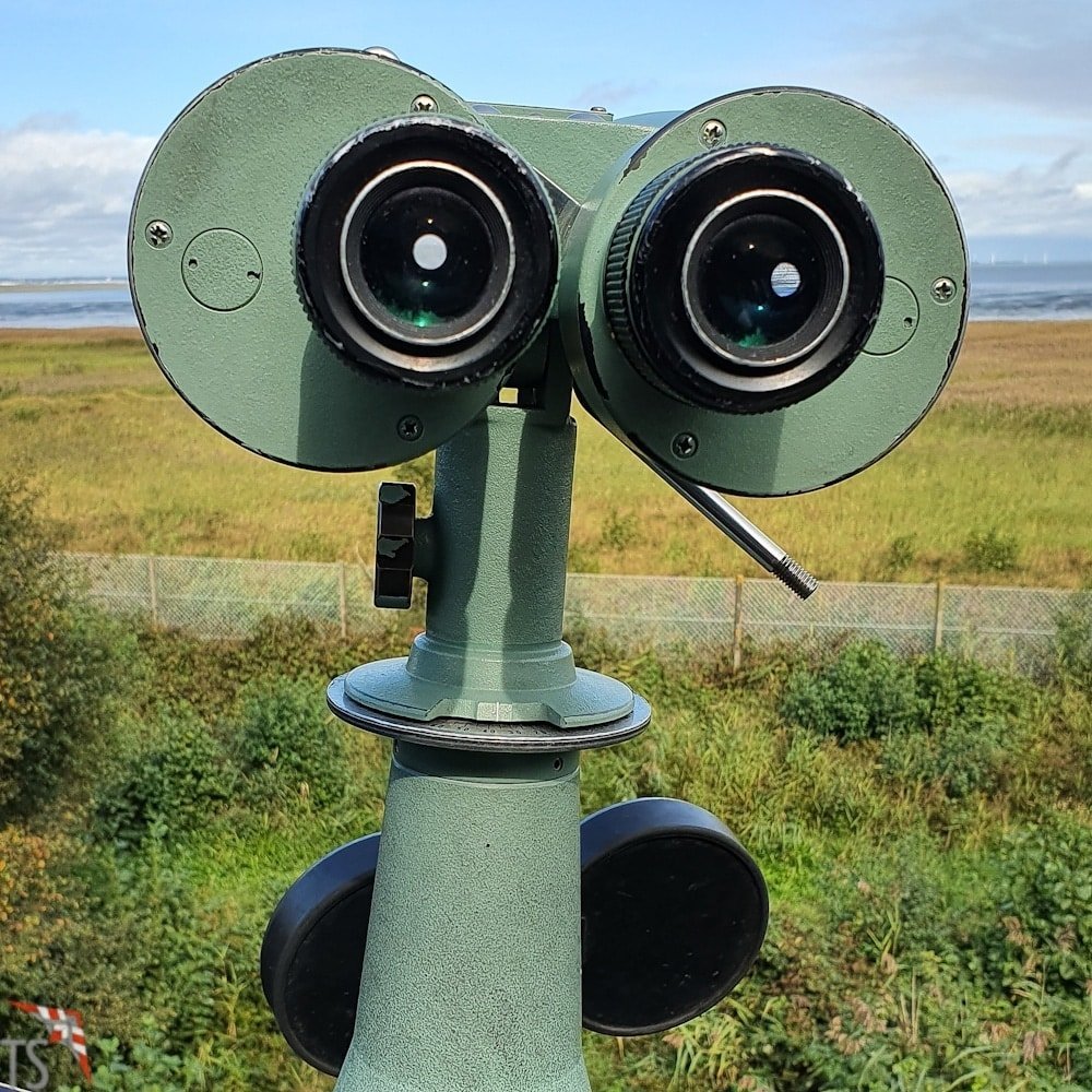 Nummer 5 gibt nicht auf