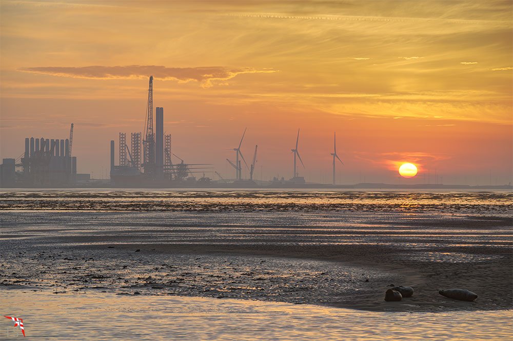 Sonnenaufgang ueber den Robben in Nordby