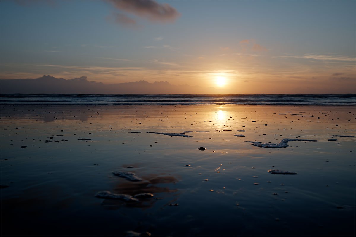 Sonnendurchfluteter weißer Sandstrand auf Fanø mit grünem Dünengras und strahlend blauem Meer